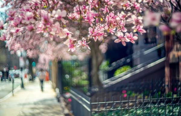 Весенний город