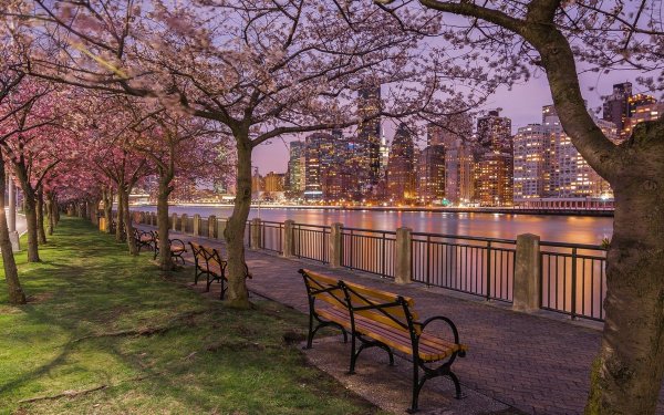 Ночной парк Нью Йорка