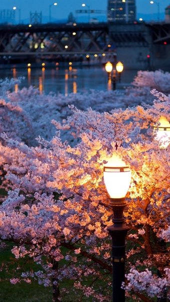 Красивый вечер в городе