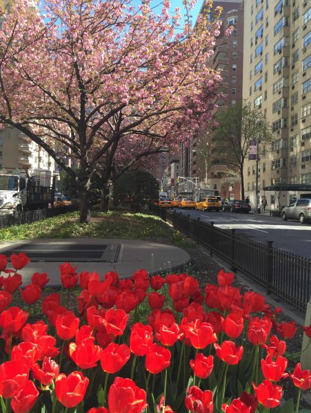 Весна в городе