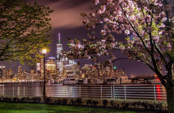 Ночной город парк Нью Йорк