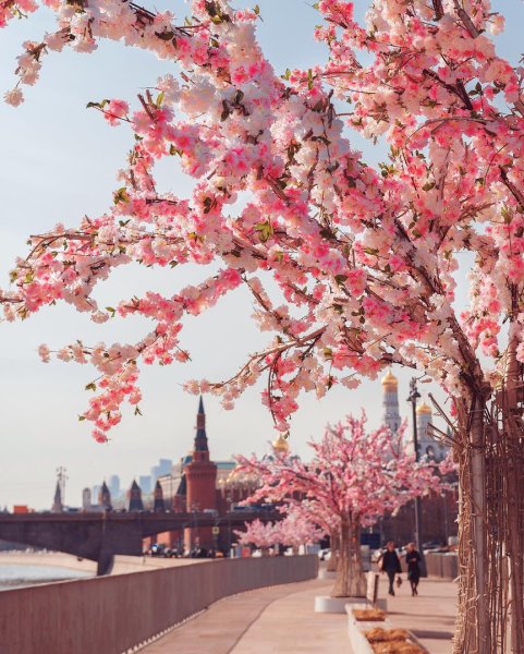 Весенний город