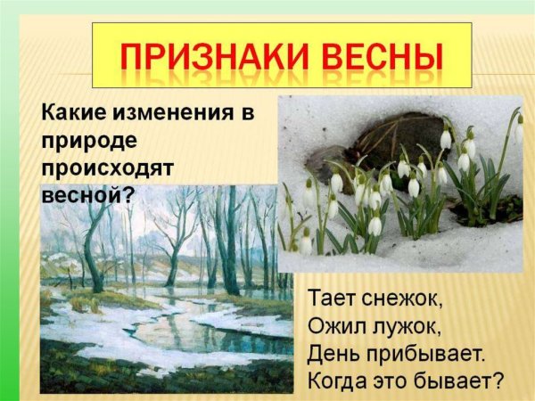 Найдите признаки весны