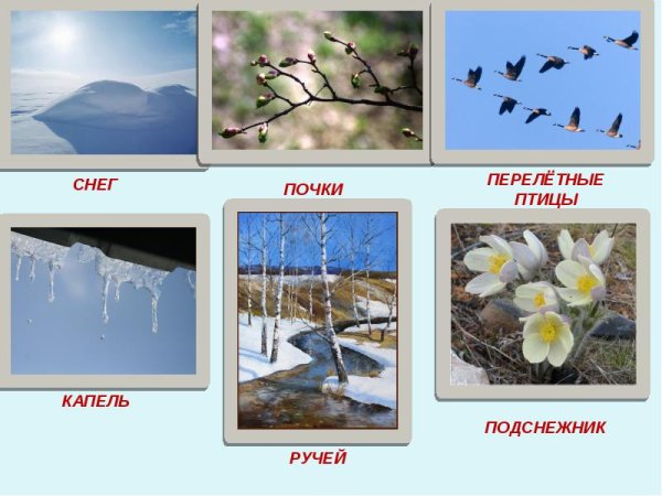 Признаки времен года для дошкольников