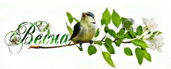 Весна пришла надпись