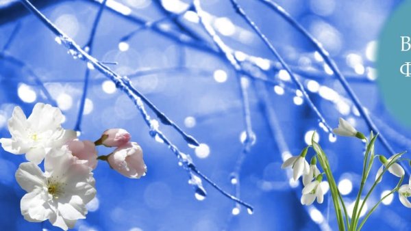 Капель ранней весной