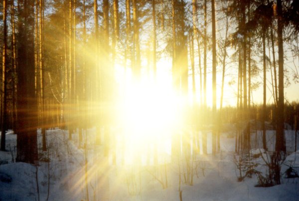 Весна солнце