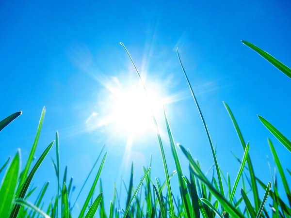 Солнечная Весна