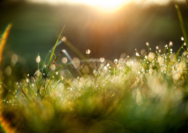 Март природа