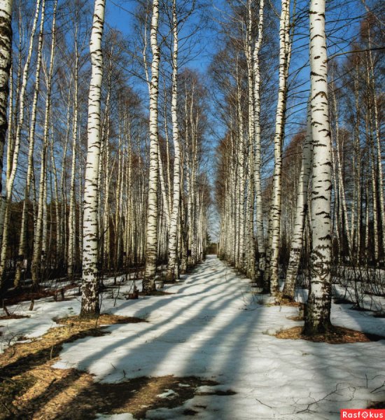 Ранняя Весна