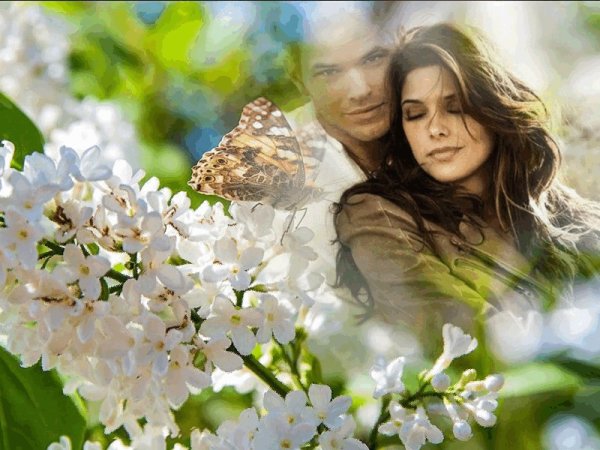 Влюбленные в белой сирени