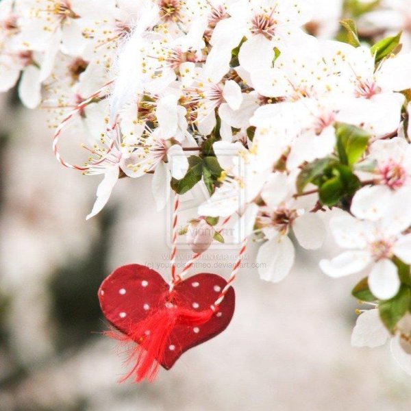 Весна любовь