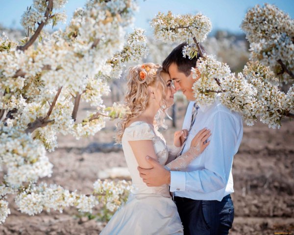 Влюбленные под черемухой ...