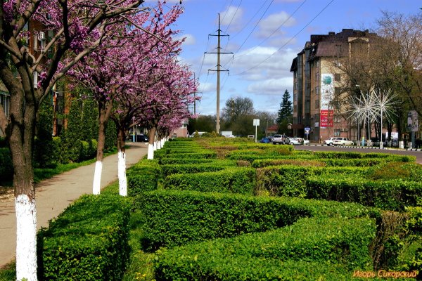 Природа Армавира Краснодарского края