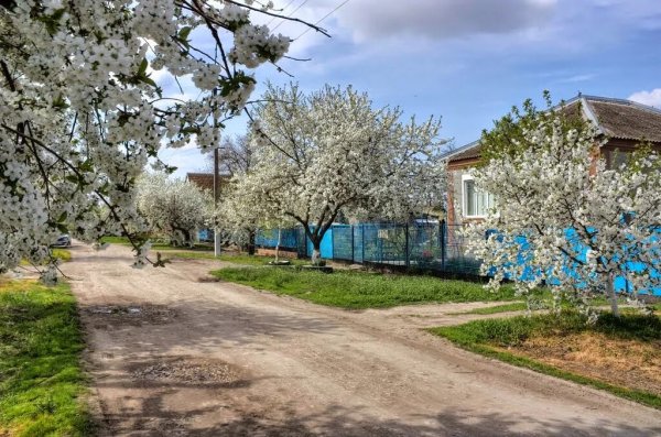 Станица Каневская Краснодарский край