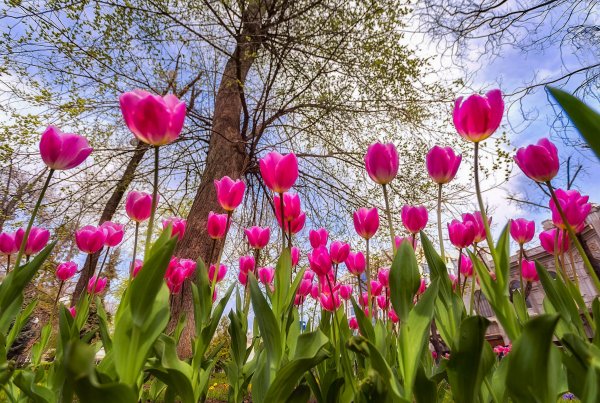 Весна в Краснодарском крае