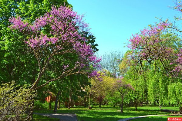 Весенний Краснодар