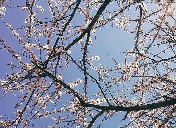 Весна в Краснодарском крае