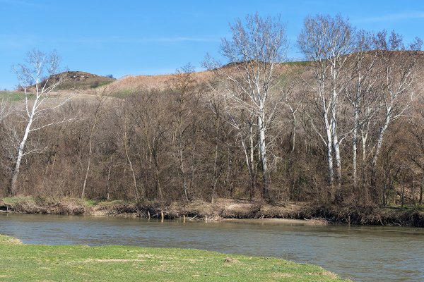 Ранняя Весна на Кубани