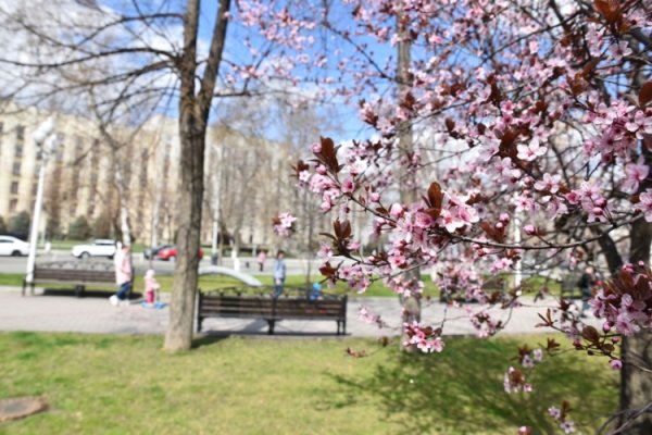 Краснодар в апреле