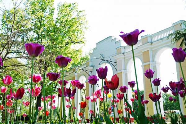 Весна в Краснодаре