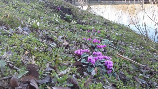 Краснодарский край весной