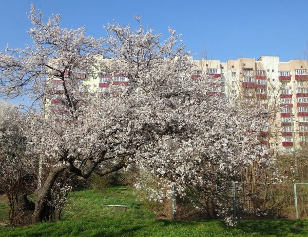 Анапа Весна