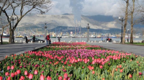 Весна в Новороссийске