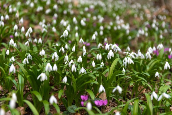 Новороссийск весной