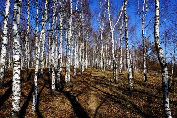 Весна апрель