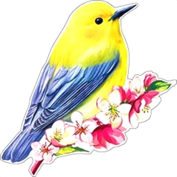 Украшение на скотче птицы