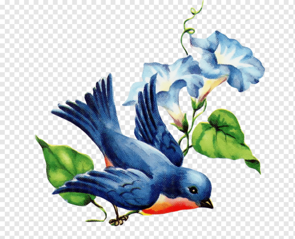 Птицы в скворечнике Весна