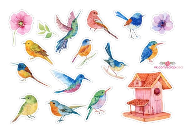 Птички на ветке мультяшные