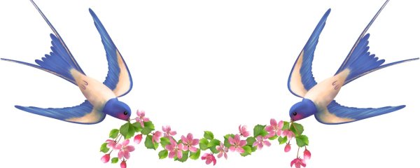 Птички на ветке вектор