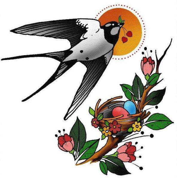 Barnali Bagchi птицы