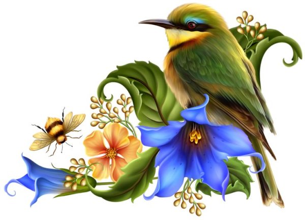 Весенние птички вектор