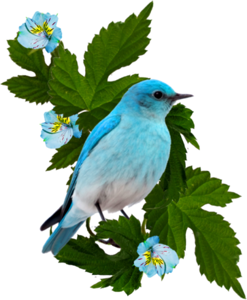 Рамка природа