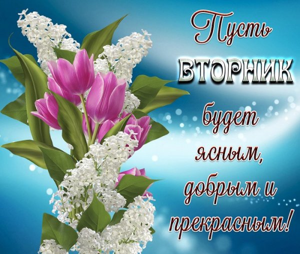 Доброе Весеннее утро вторника