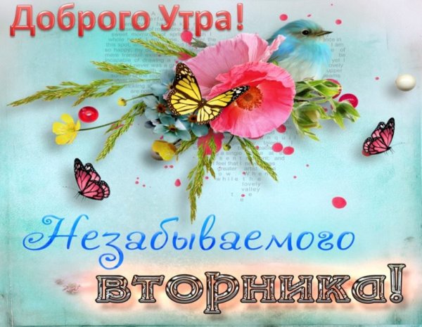 Пожелания на вторник