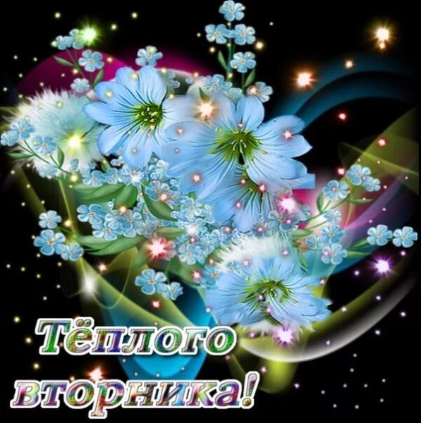 Вторник цитаты