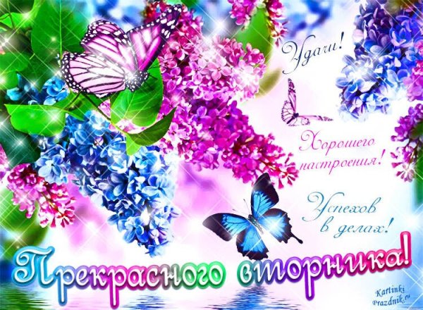 Пожелание отличного вторника