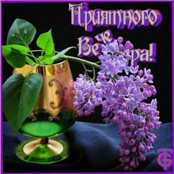 Хорошего вечера женщине красивые