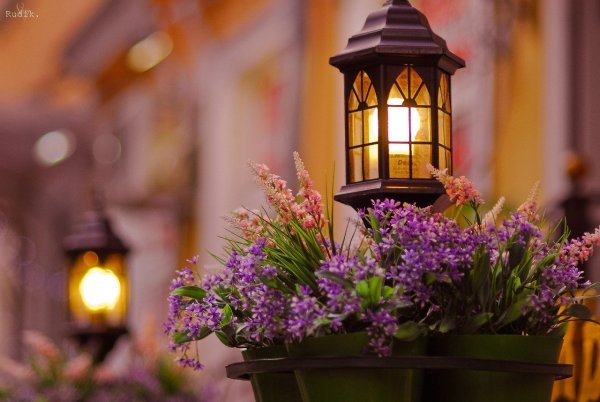 Прекрасного весеннего вечера