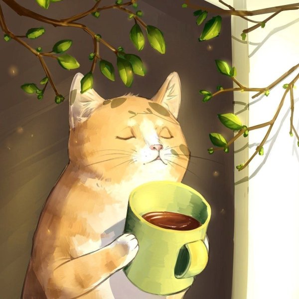 Котик с чашкой кофе