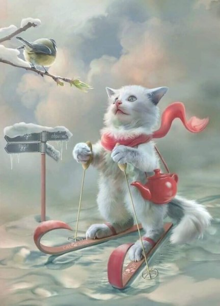 Котенок на лыжах