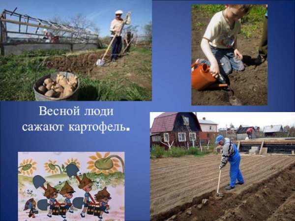 Занятия людей весной