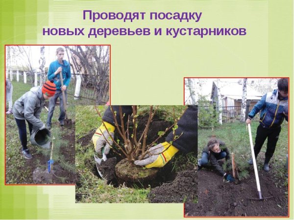 Сюжетная картина сад