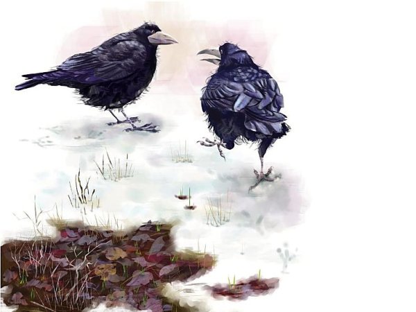 Художник-иллюстратор Марина Пузыренко