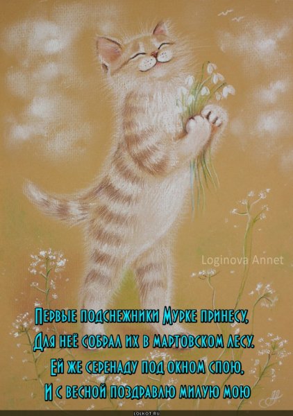 Стихи про котов и весну