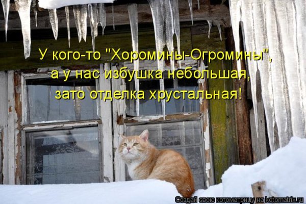Весна сосульки кот